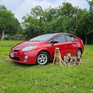 Toyota 2010 Prius