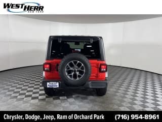 Jeep 2024 Wrangler