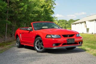 Ford 1999 Mustang SVT Cobra