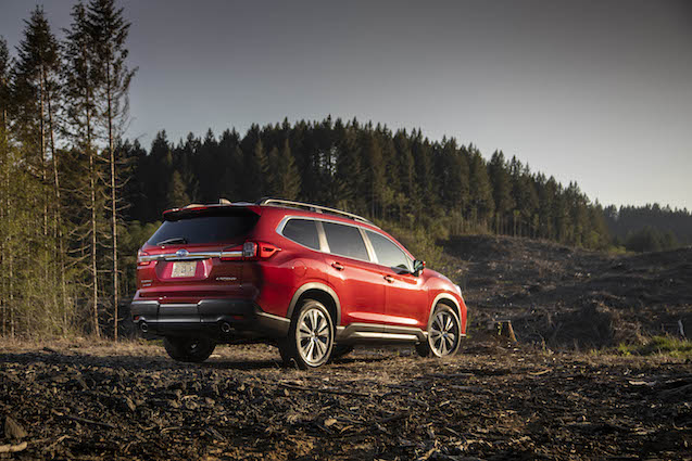 22. 2019 Ascent Limited