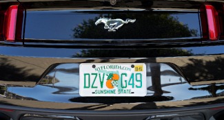 State License Plate Laws