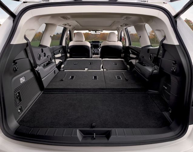 41. 2019 Ascent Limited