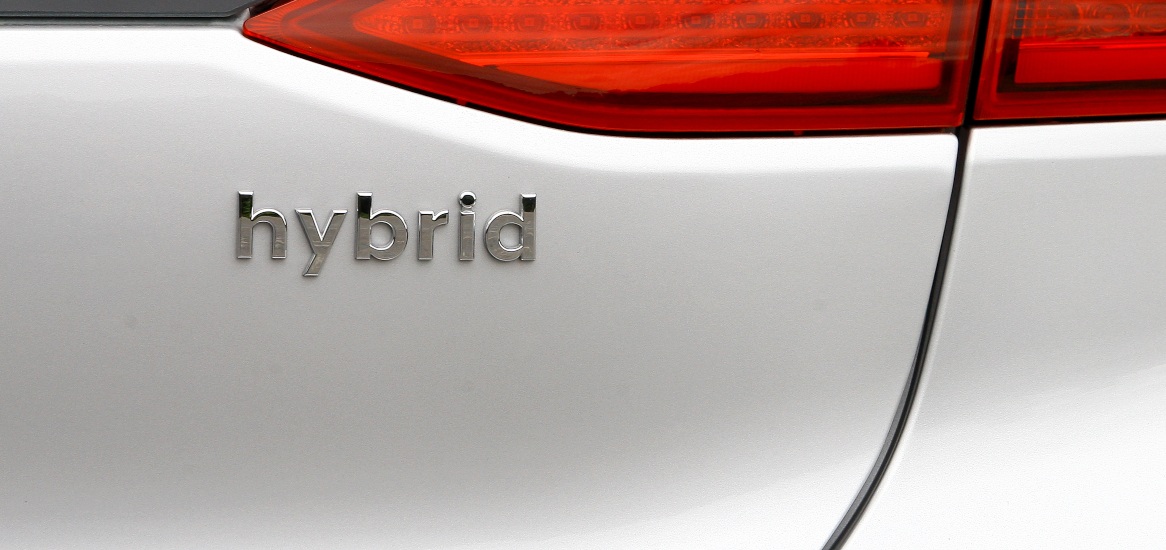 Do Hybrids Last Longer