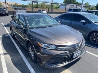 Toyota 2019 Camry Hybrid