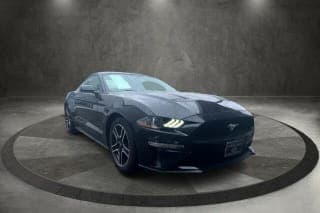 Ford 2019 Mustang