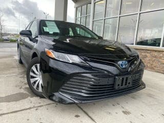 Toyota 2019 Camry Hybrid