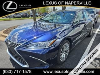 Lexus 2019 ES 350