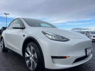 Tesla 2021 Model Y