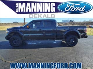 Ford 2013 F-150