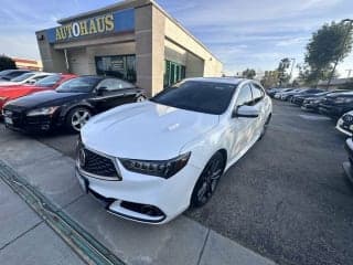 Acura 2019 TLX